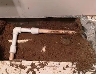 城固测漏水哪家好