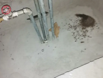 城固卫生间测漏水价格明细