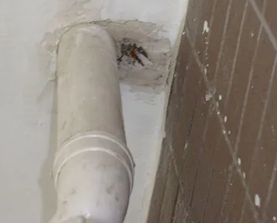 城固漏水检测哪家好